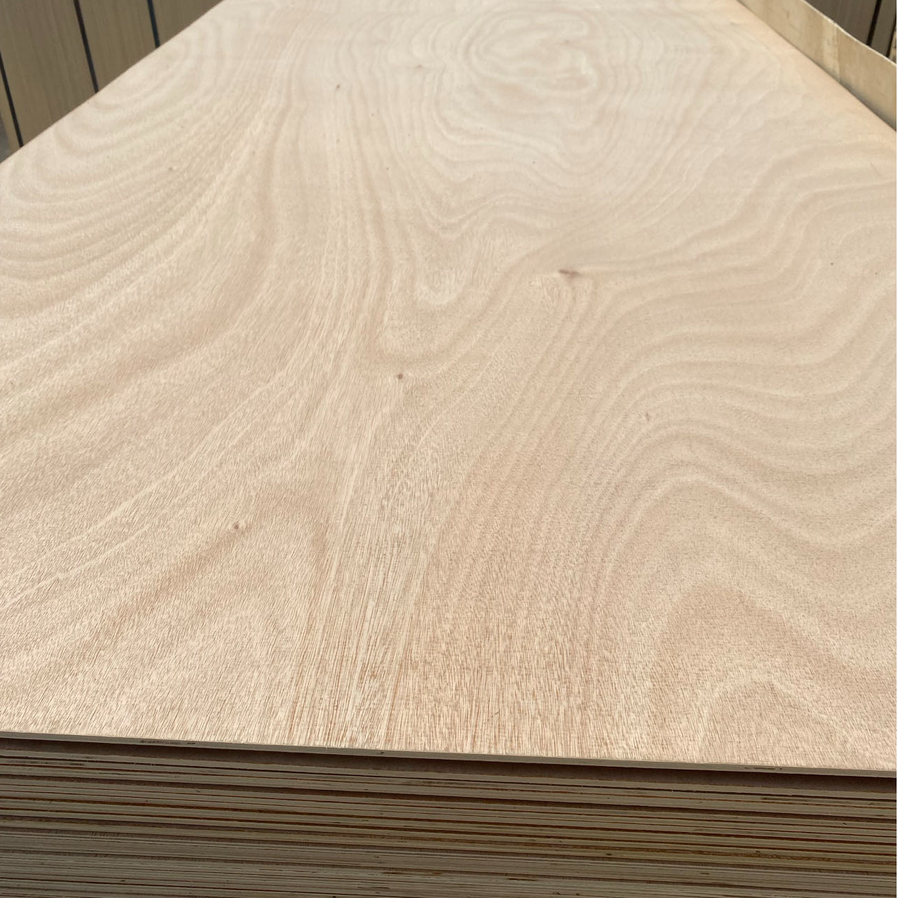 1220X2440X18mm WBP Glue Commercial Plywood for Furniture