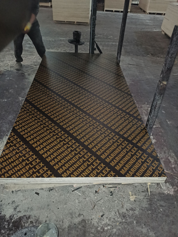 WBP Glue Marine Plywood Film Faced Plywood for Concrete Shuttering
