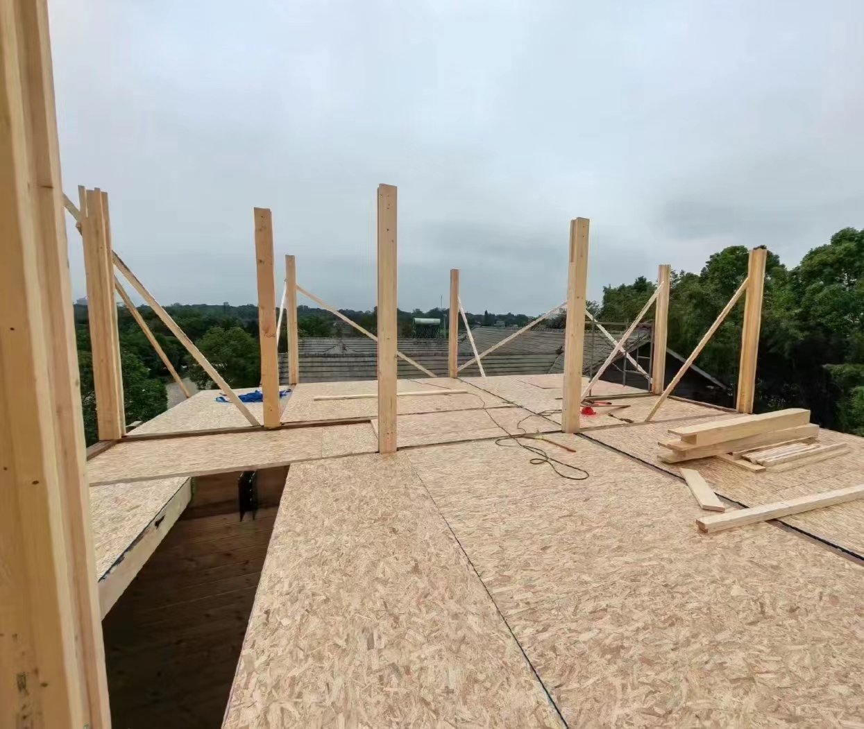 6-25mm Waterproof Wood Panel OSB/OSB2/OSB3 Oriented Stand Board Chipboard for Furniture/Construction