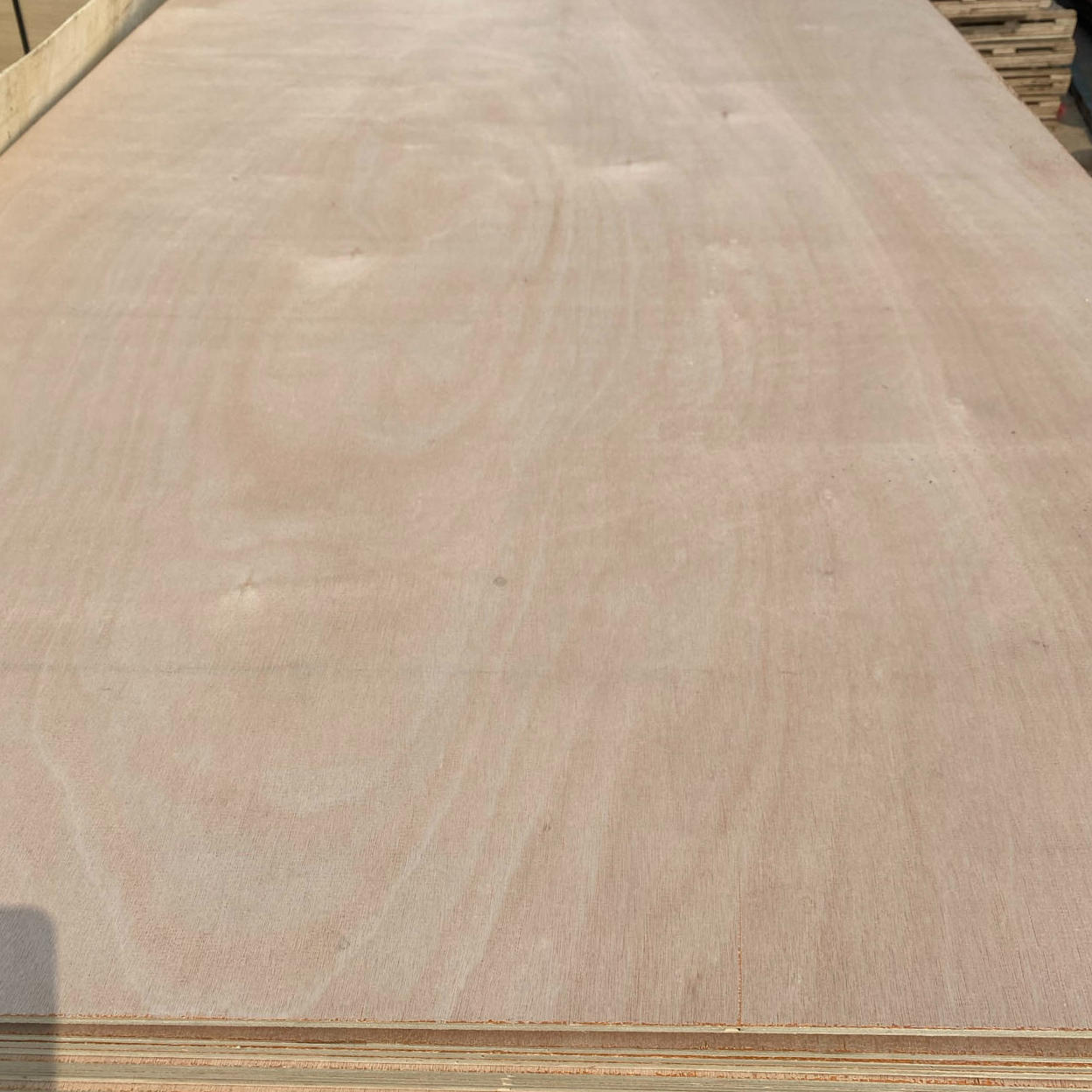 1220X2440X18mm WBP Glue Commercial Plywood for Furniture